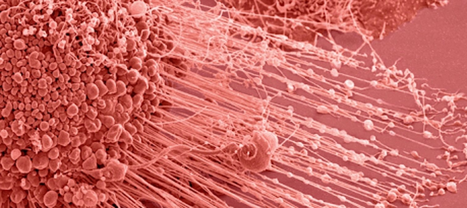 lasting business contribution